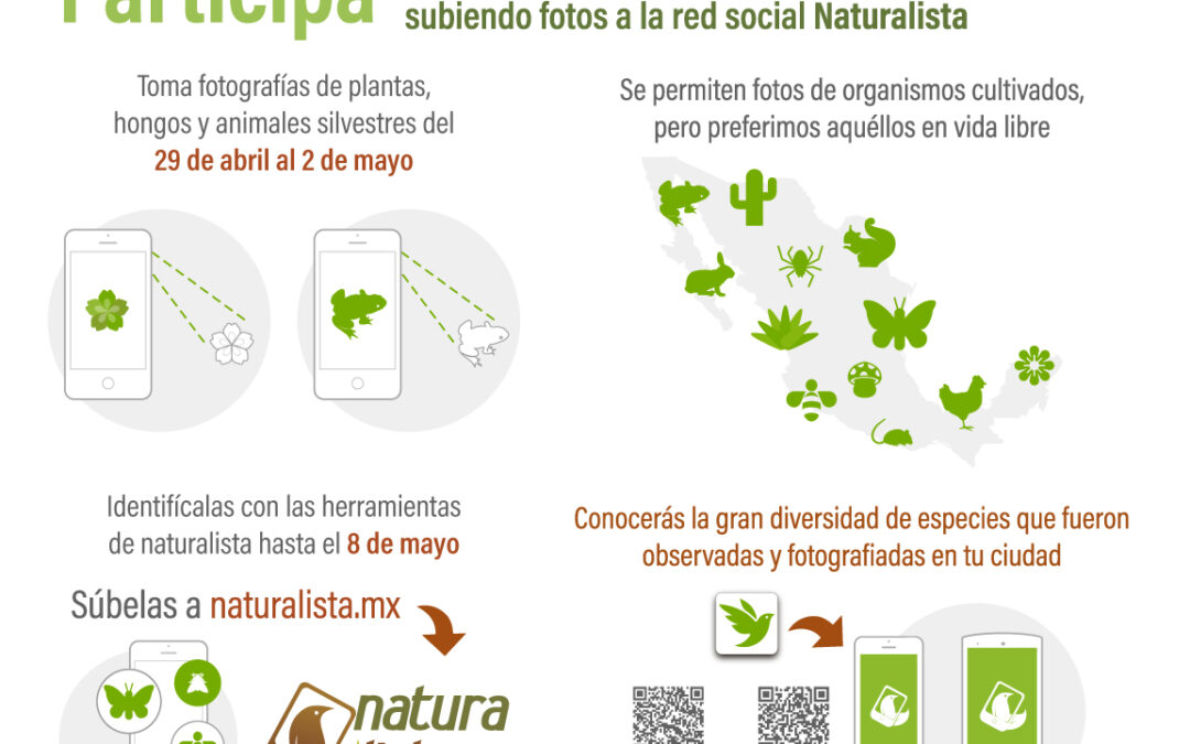 Alista tu cámara y participa en el  Reto Naturalista Urbano 2022