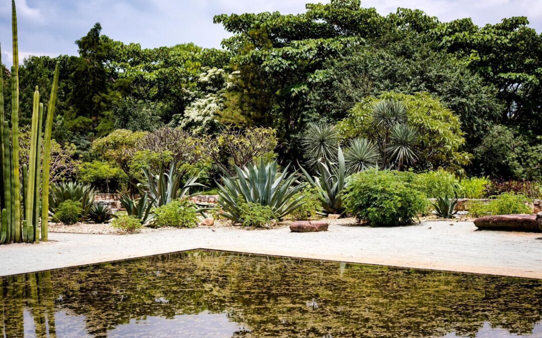 Llevarán oferta cultural gratuita al Jardín Etnobotánico de Oaxaca