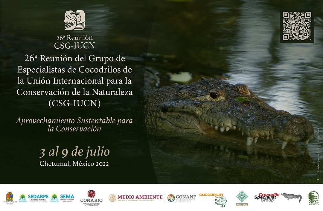 Chetumal, México será la Capital mundial de expertos en cocodrilos -  Panorama del Pacifico