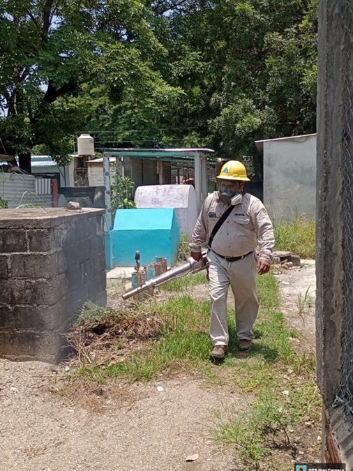 Aplica SSO casi 17 toneladas de abate en la lucha contra el dengue