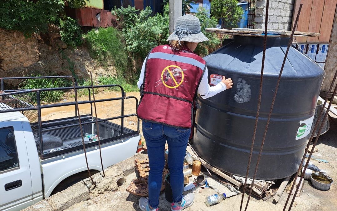 Personas con enfermedades crónicas, propensas a padecer dengue grave