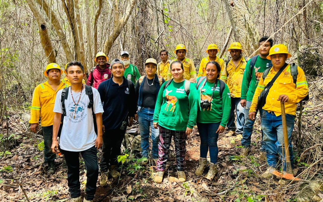 Plantan en Santa María Huatulco 540 árboles producidos en viveros de Coesfo