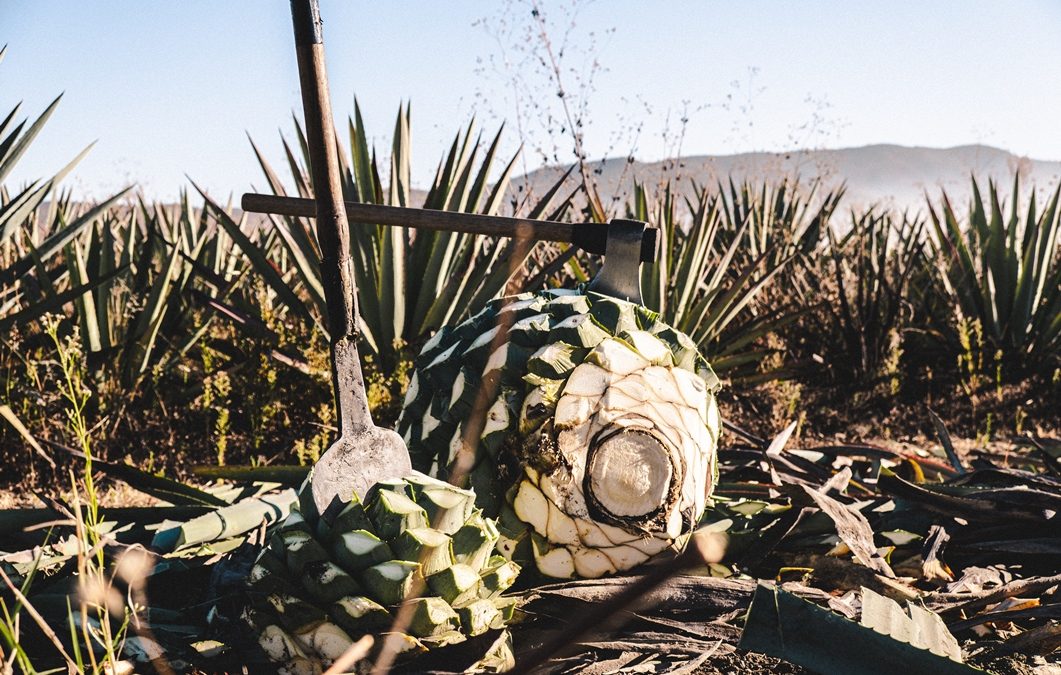 Viaja por los Pueblos del Mezcal en Oaxaca.